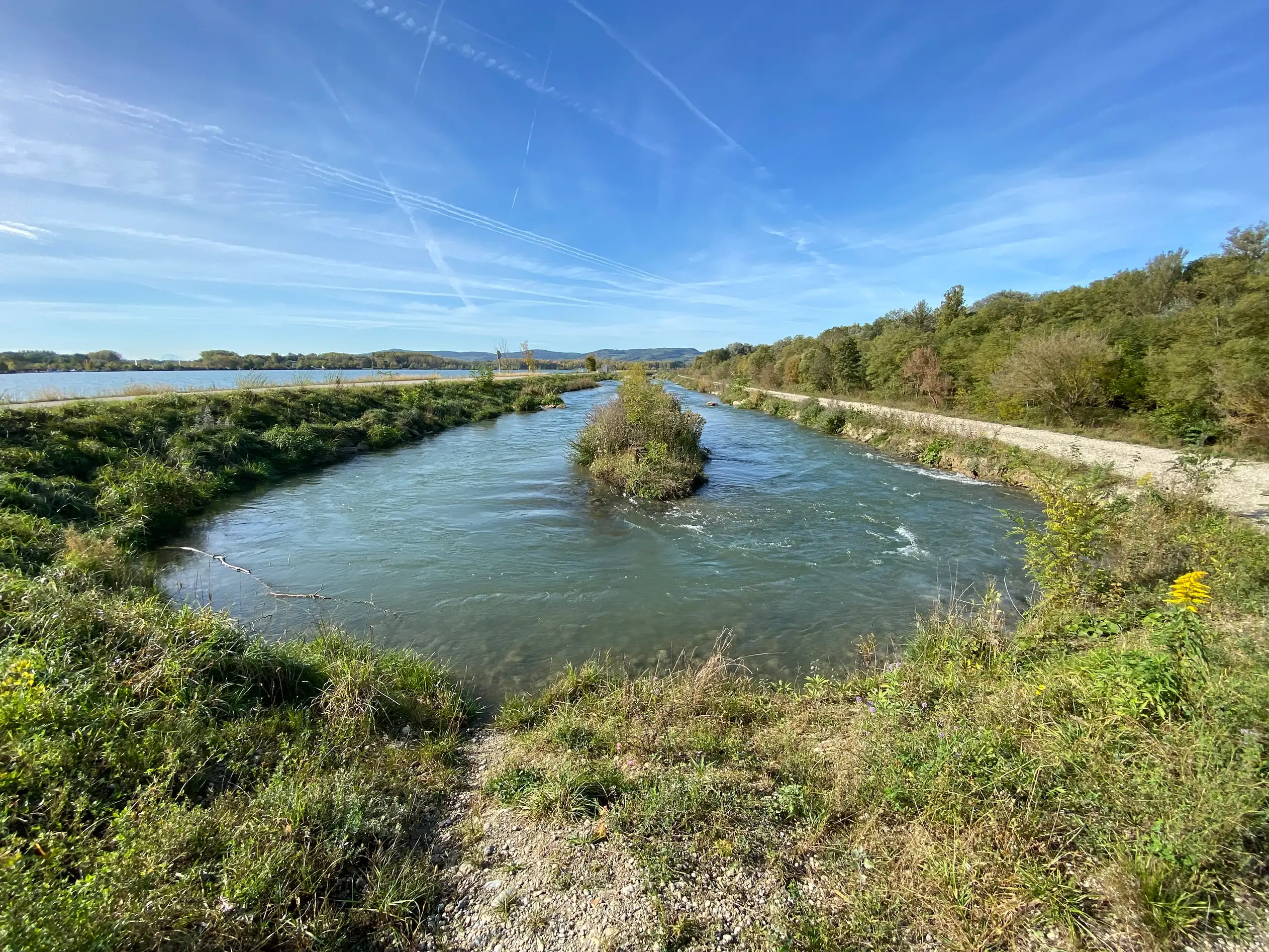 Blick auf die Donau bei Altenwörth. Im Fokus ist die Fischwanderhilfe, die sich neben der Donau befindet.