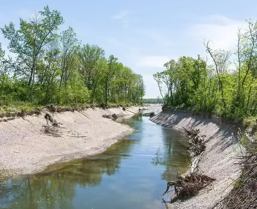 A gentle stream is already making its way through grasses and bushes. This body of water is also part of the fish migration aid at the Altenwörth power plant.